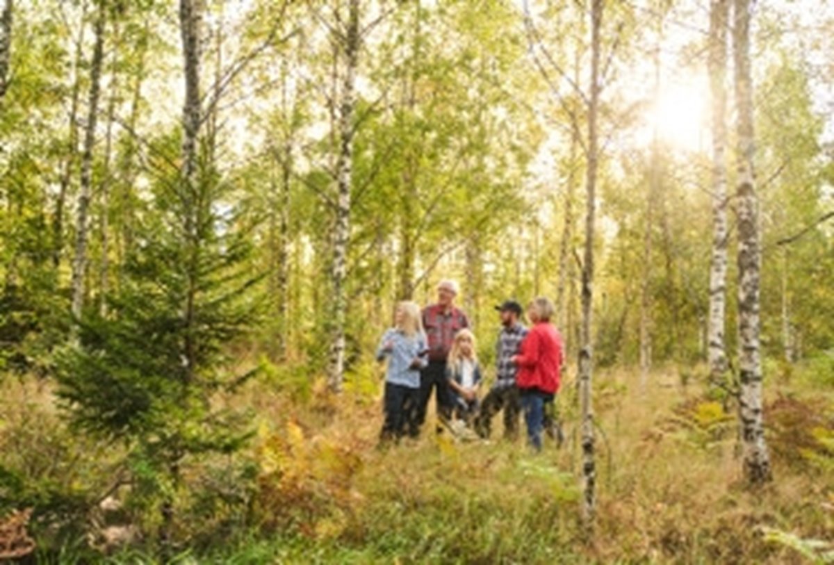 Skogsinspektor medlem 2020. 
Från vänster skogsinspektor Åsa Andersson, Ingemar Levinsson,  Ava Houlihan-Burne (statist), Albin Carlsson, Monika Carlsson.