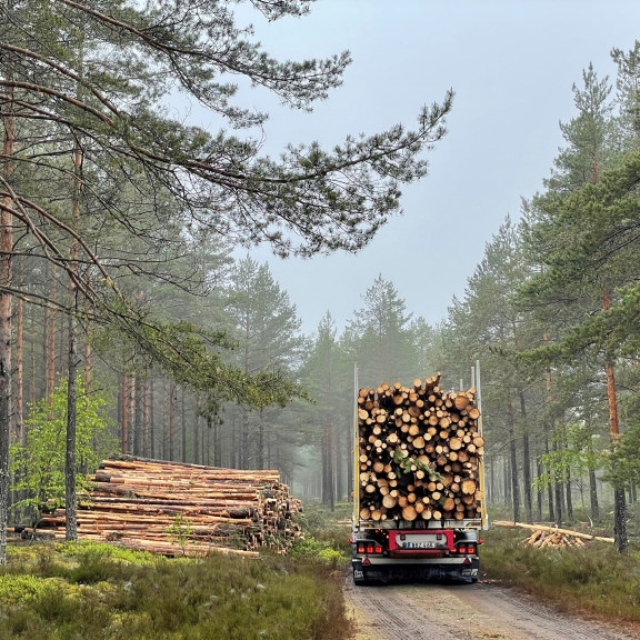 bränsleved bil