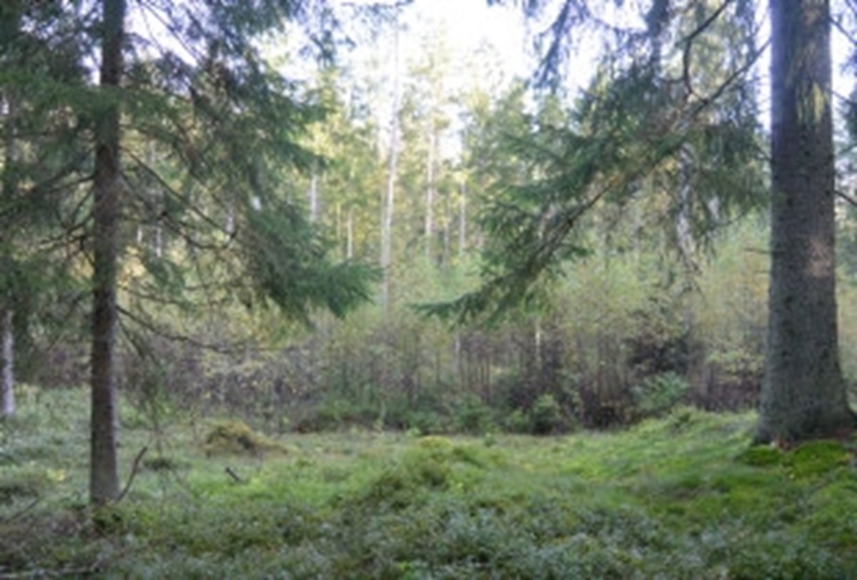 Hyggesfria skötselmetoder