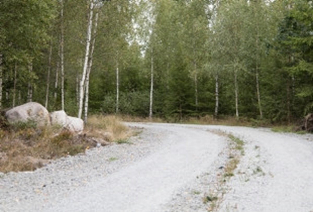 Exkursion i Toftaholm i samband med föreningsstämma 2022