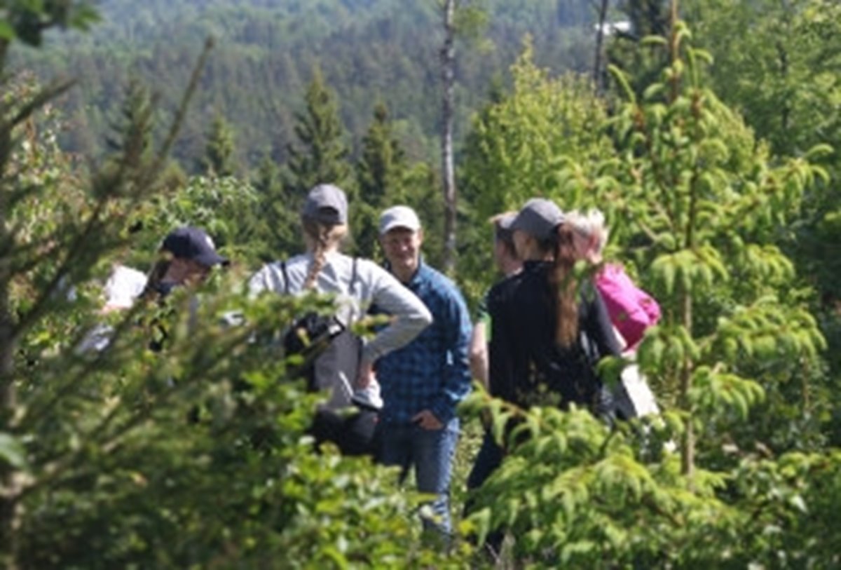 Skogsägare i blandad sommarskog.