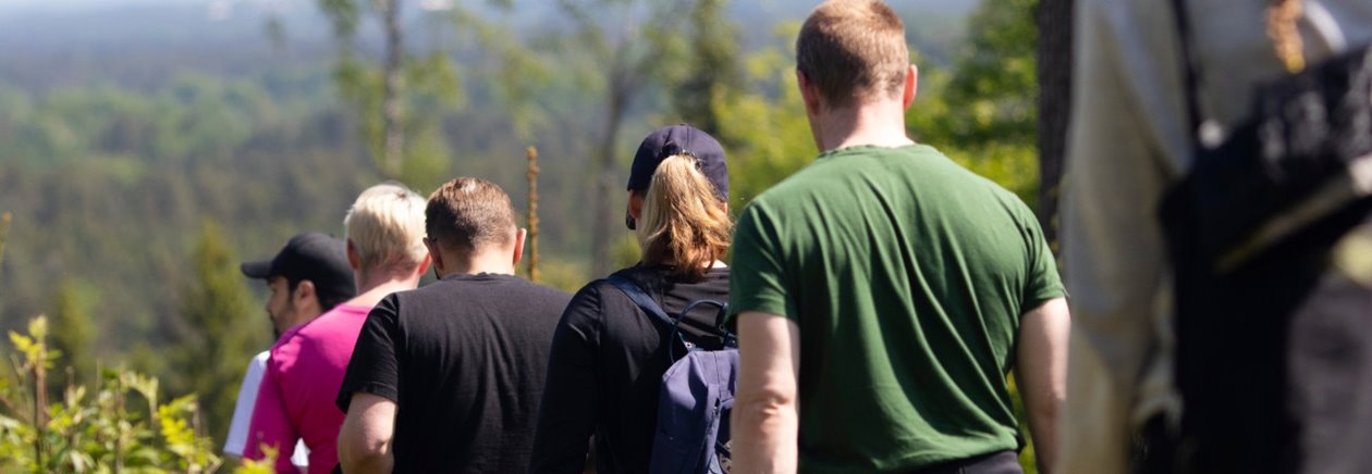 Skogsägare i blandad sommarskog.