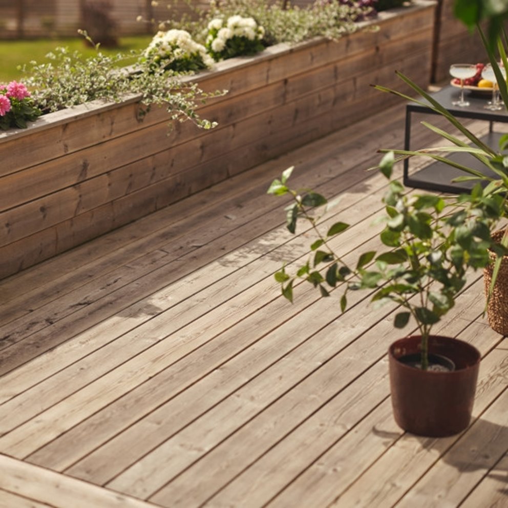 Altan av Södra trall en sommardag