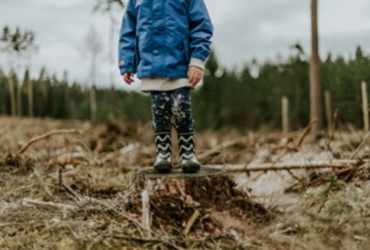 Från ett träd växer tusen möjligheter
Barn på stubbe
