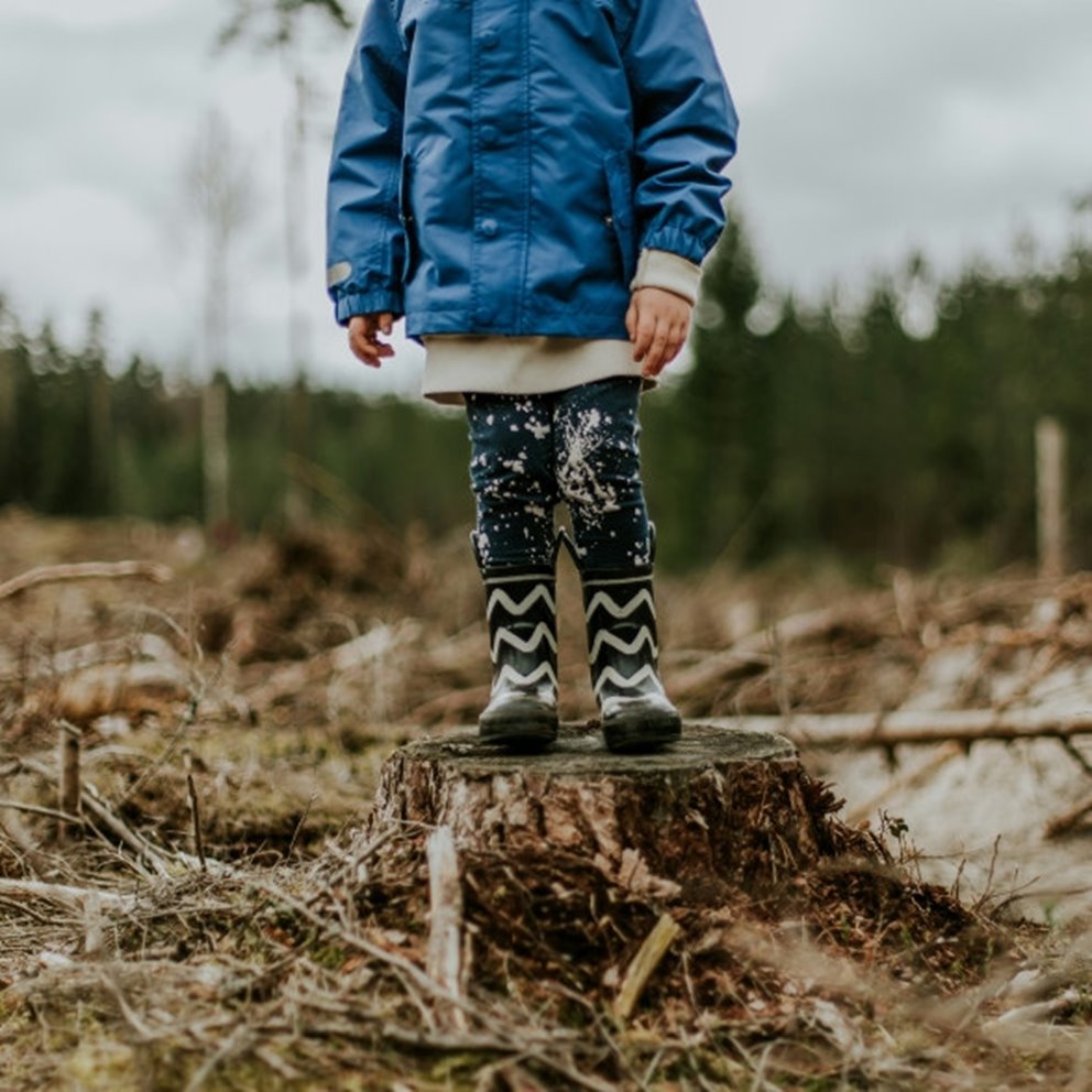 Unsplash, gratisbild - Från ett träd växer tusen möjligheter