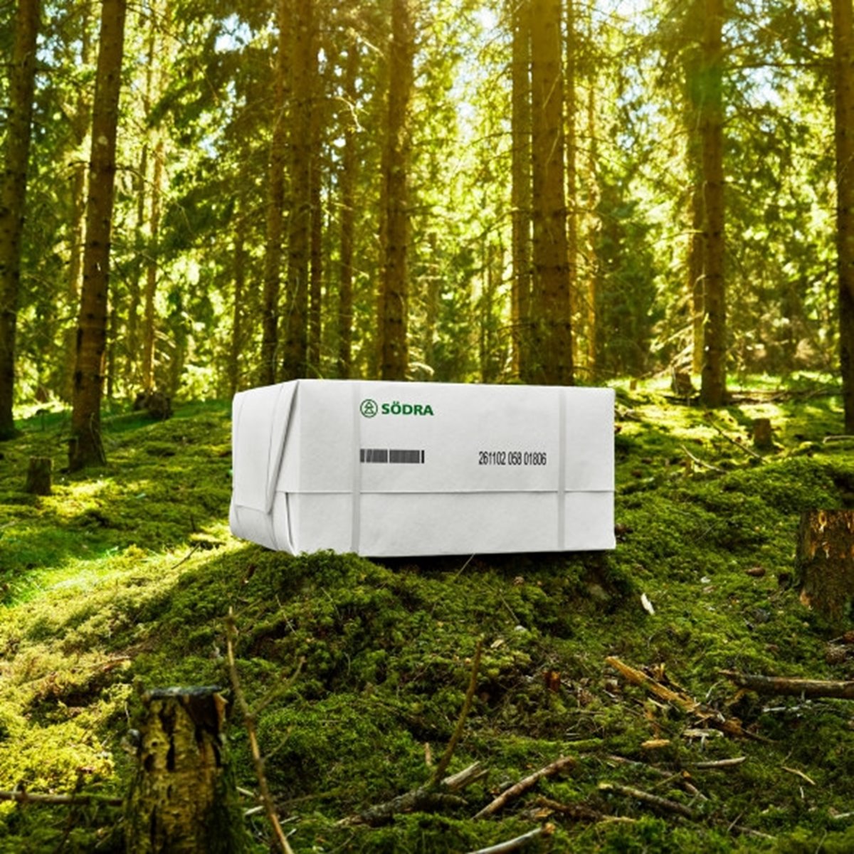 Cell Produktfotografering 2024