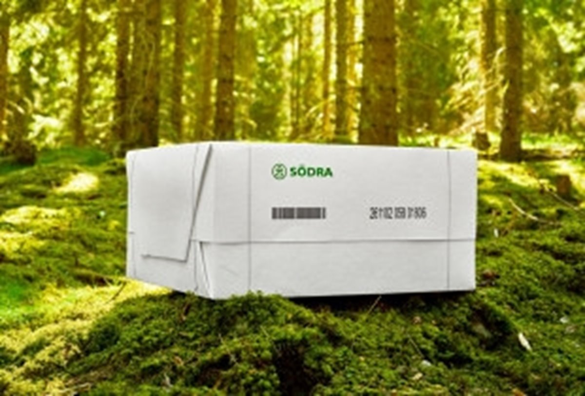 Cell Produktfotografering 2024