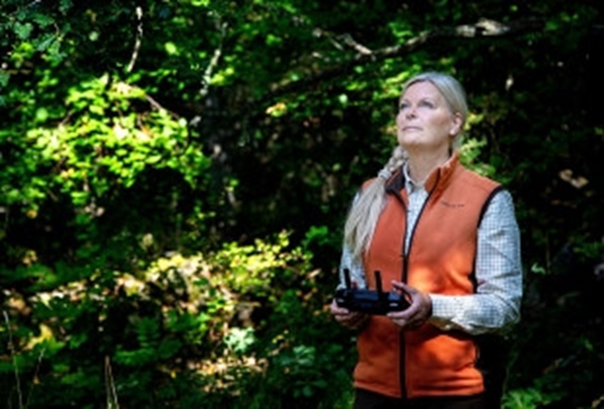 Annette Eilert, doktorand vid institutionen för skog och träteknik vid Linnéuniversitetet, LnU, är en av tre doktorander som är knutna till FRAS – Framtidens skogsskötsel i södra Sverige. Annette kartlägger skogens hälsa med digital teknik. Experimenten med tallplantor i laboratorium visar att med digital teknik kan stress upptäckas tidigare än med det mänskliga ökat. Med hjälp av kameror på drönare ska Annette leta efter tidiga signaler på stress i den växande skogen.