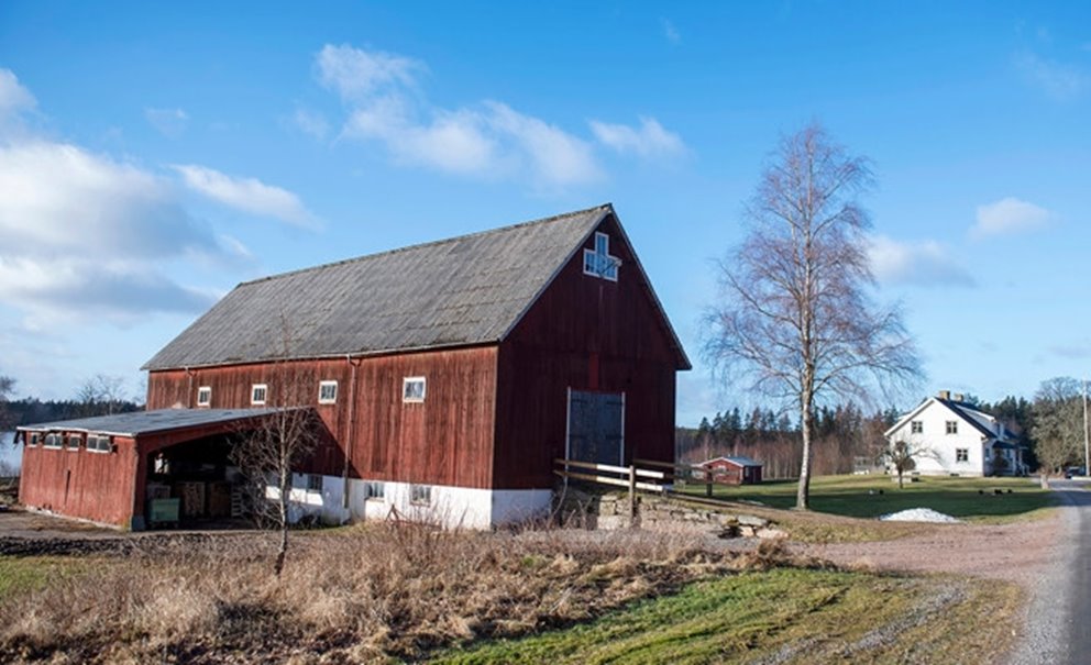 Medlemsreportage Kristofer Andersson