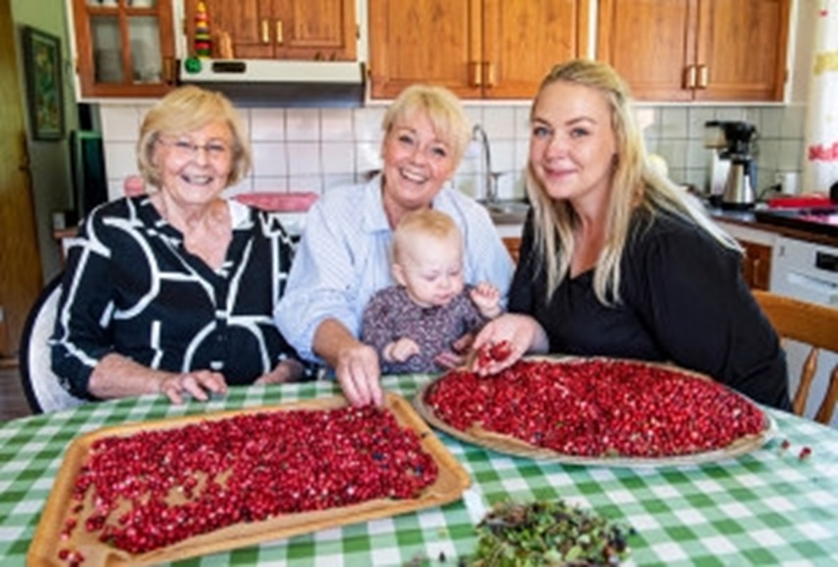 Södrakontakt nr 3 2024