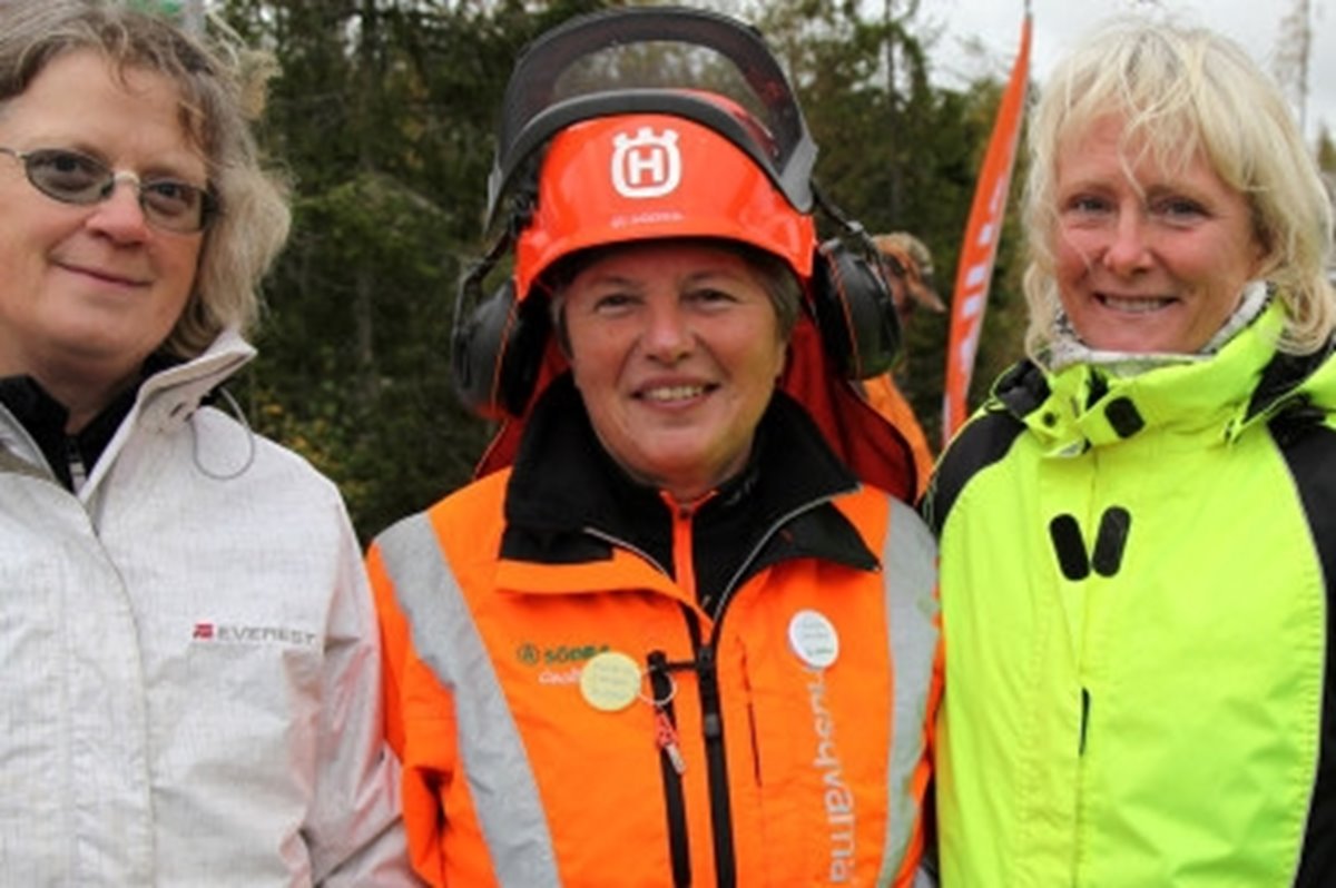 Historiska bilder, Södras historia, Cecilia Rooth