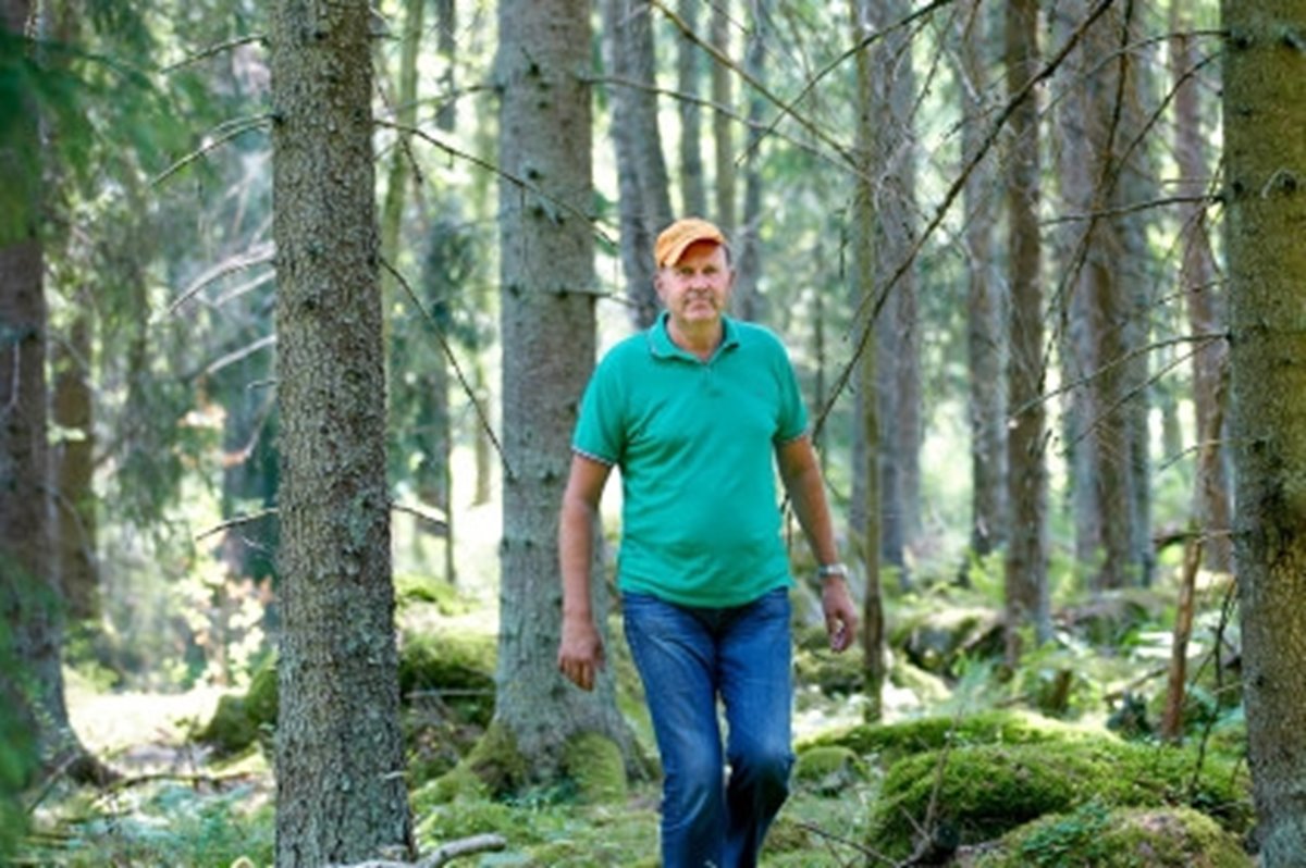 Södrahistorien - Christer Segerstéen