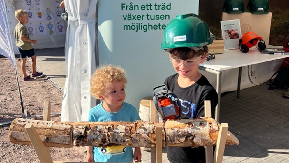 O-Ringen 2024