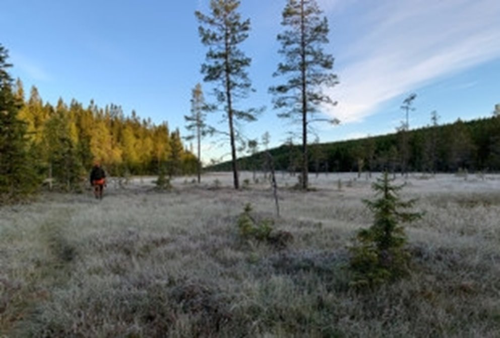 Hösten skördetid