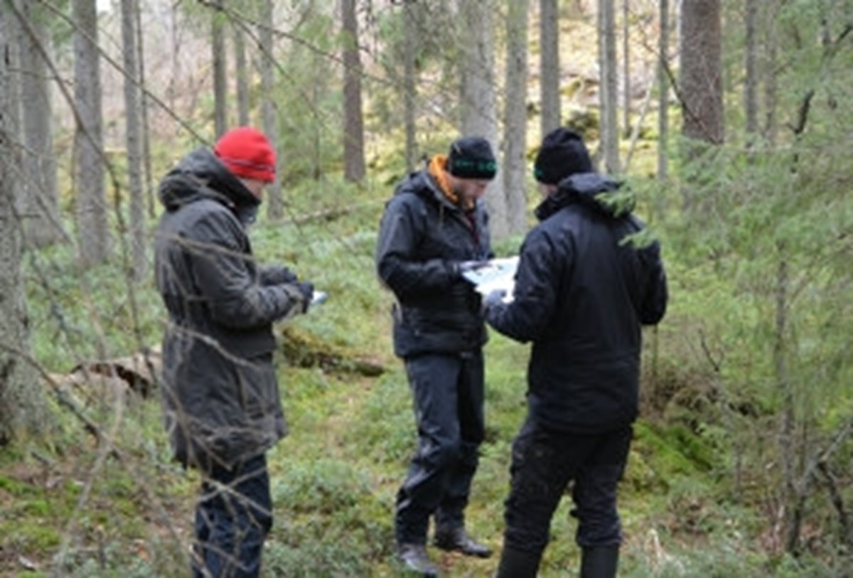 Södrakontakt nr 3 2024