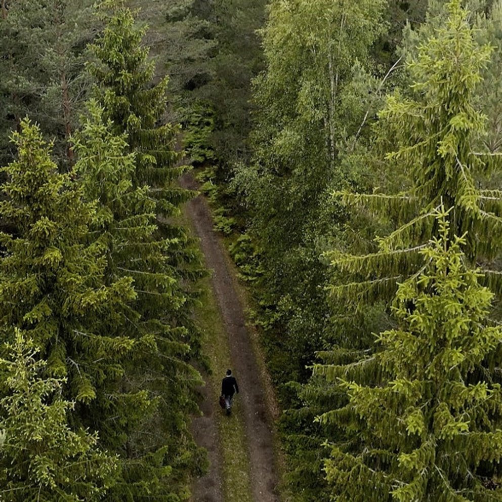 Flygbild på skogsägare på skogsbilväg