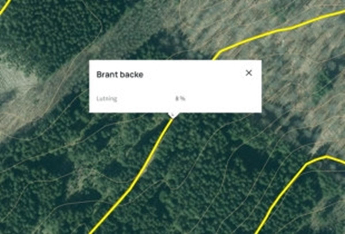 Skärmpdump bild på backe