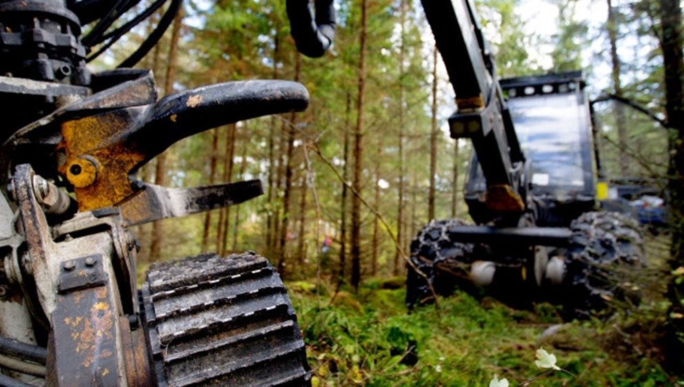 Södra Skogsdag i Sännås, hos Mats och Agneta Helge, mellan Smålandsstenar och Gislaved.
