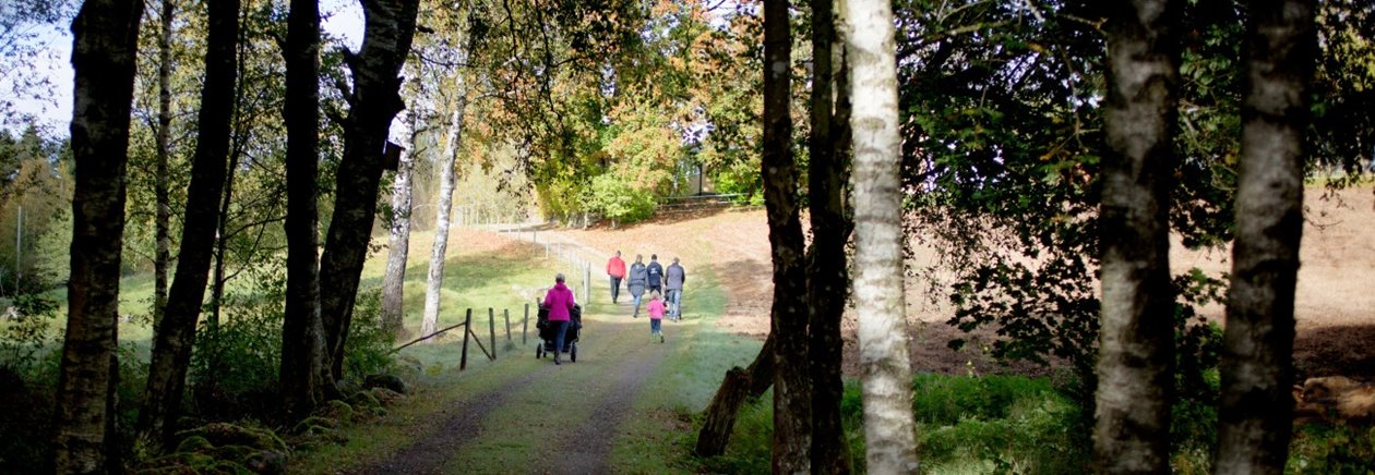 Södra Skogsdag i Sännås, hos Mats och Agneta Helge, mellan Smålandsstenar och Gislaved.
Slingan i skogen.