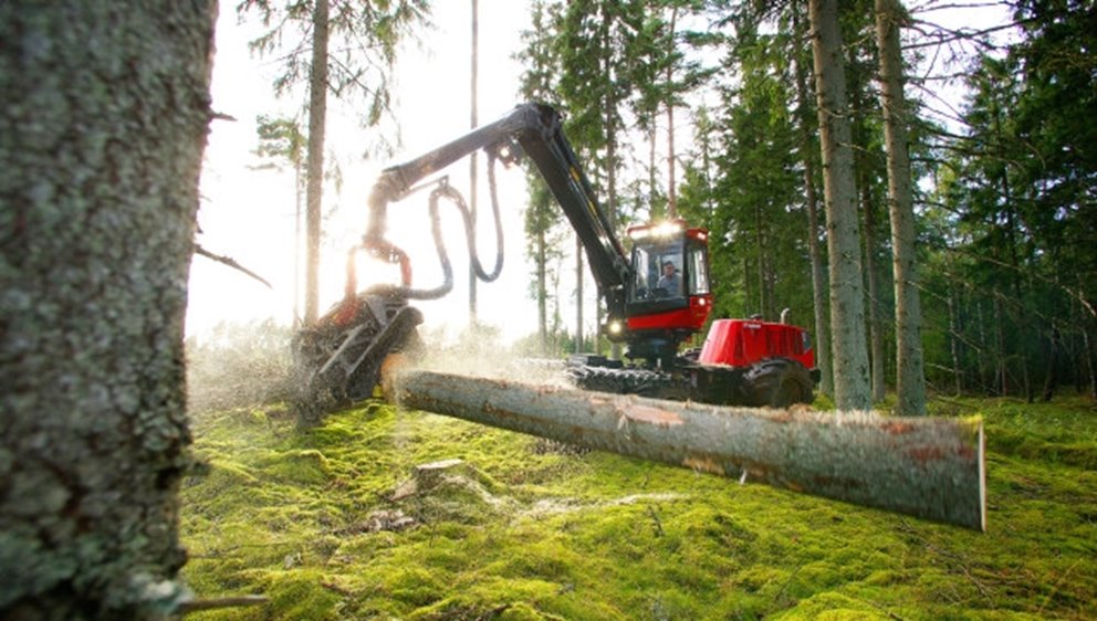 Slutavverkning utanför Vittsjö i Skåne. 