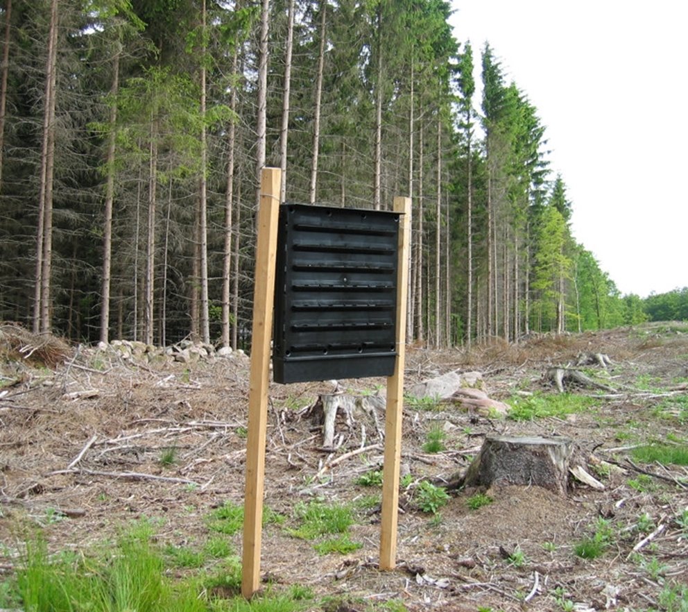 Granbarkborrefälla