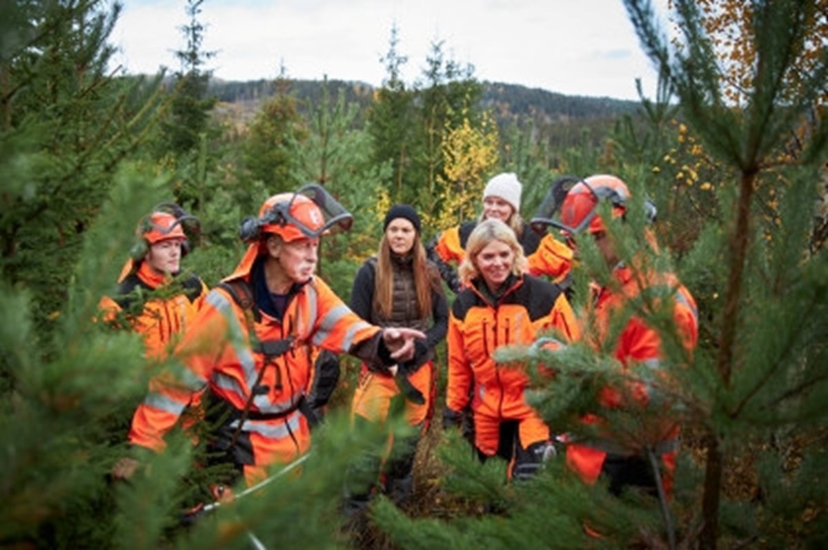 Utbildning i röjsågskörning