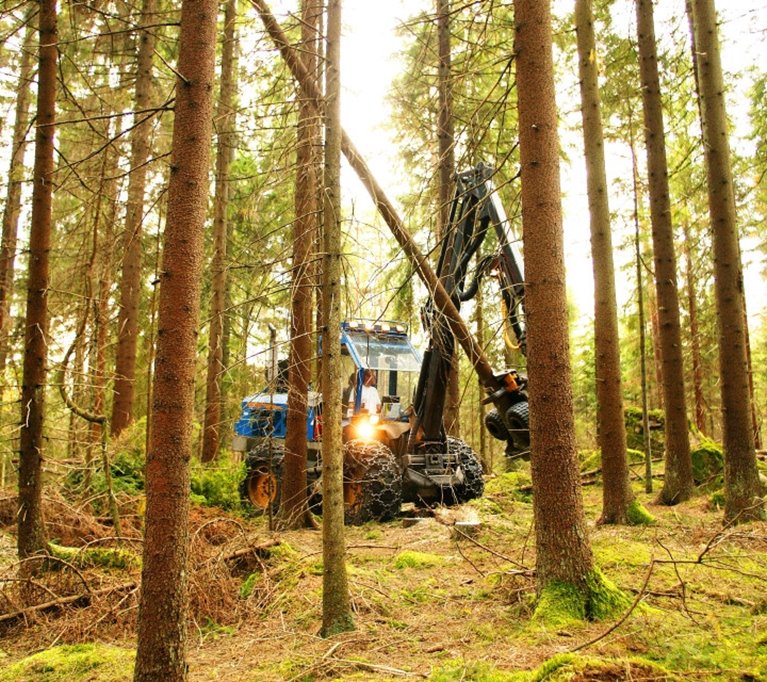 Skogsbruk. Gallring. Gallringsskördare. Gallringsskog.