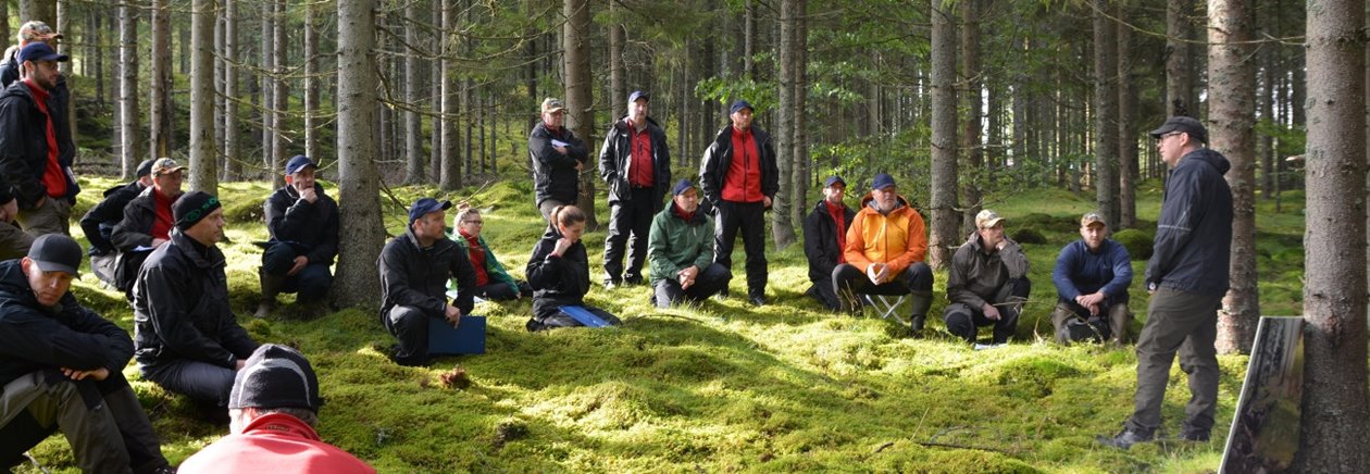 Naturvård Södra, Vallesta, genomgång av kulturmiljöer med arkeolog Mikael Dahlin