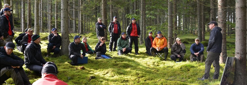 Naturvård Södra, Vallesta, genomgång av kulturmiljöer med arkeolog Mikael Dahlin