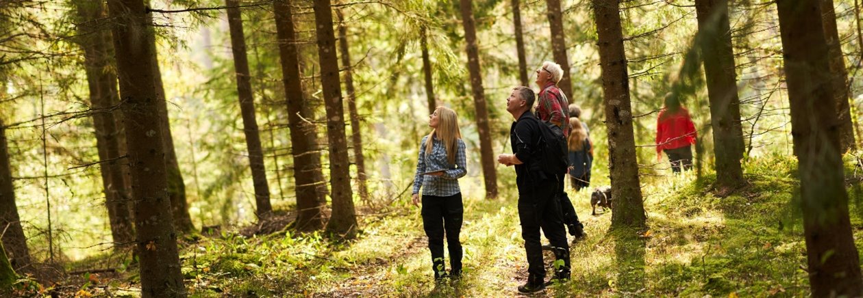 Skogsinspektor medlem 2020. Från vänster skogsinspektor Åsa Andersson, Joakim Carlsson, Ingemar Levinsson.