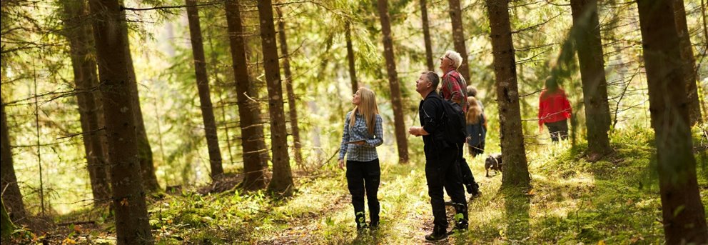Skogsinspektor medlem 2020. Från vänster skogsinspektor Åsa Andersson, Joakim Carlsson, Ingemar Levinsson.