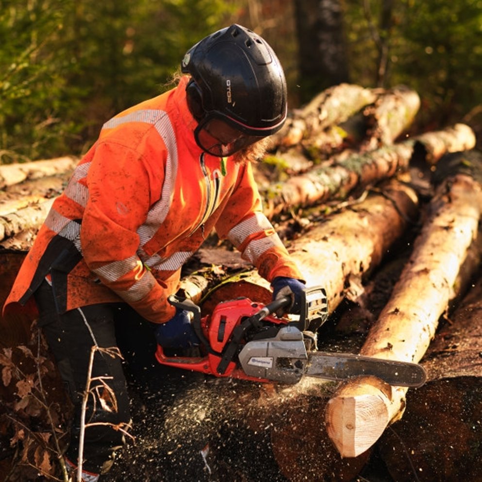 Kampanjbilder från kampanjen Skogslandslaget. Mathilda Clausen Wingårdh medlem i Södra