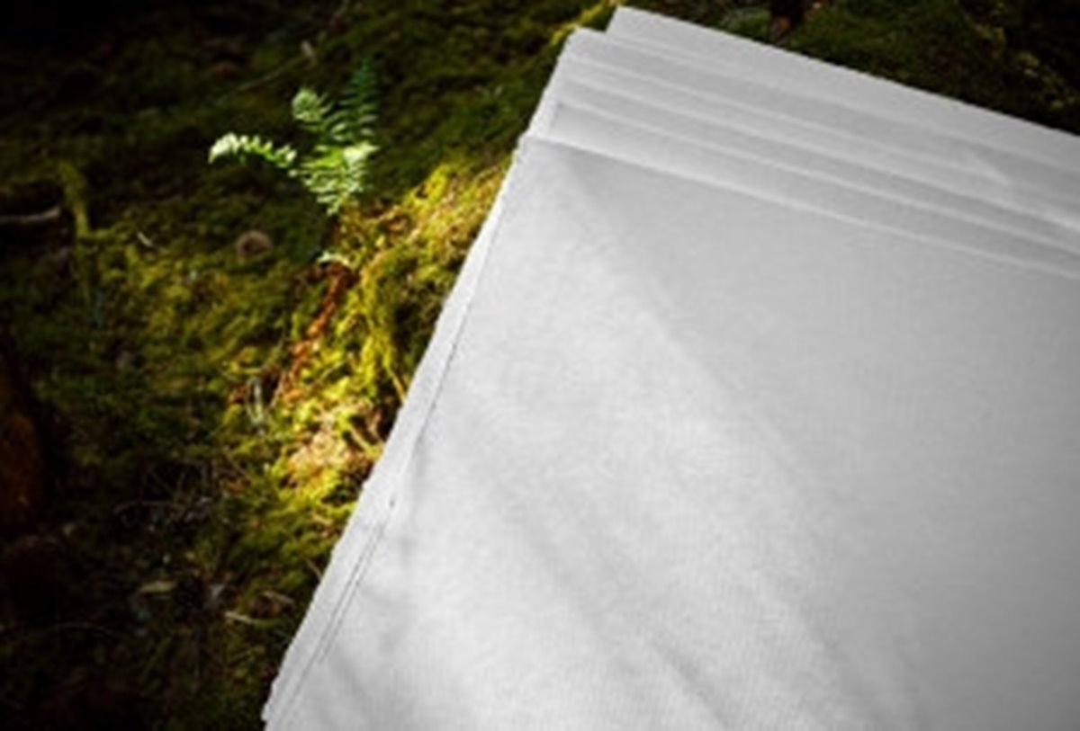 Cell Produktfotografering 2024