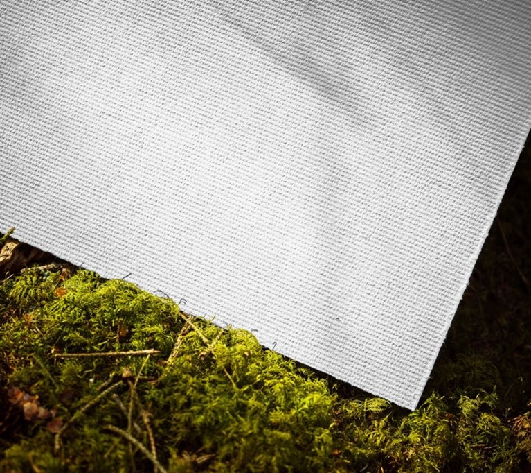 Pappersmassa ark liggande på mossa