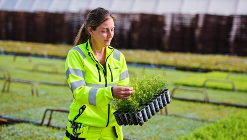 Fotografering plantskolan i Falkenberg
