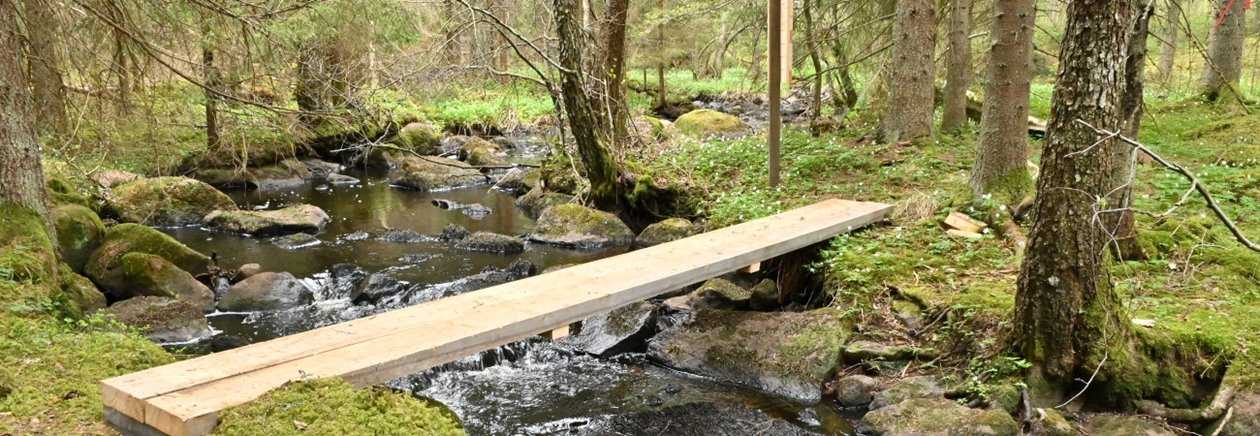 Brantefallsbäcken på Arnarp i Västra Ryd.