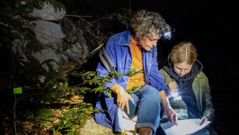 Upplev skogen på natten