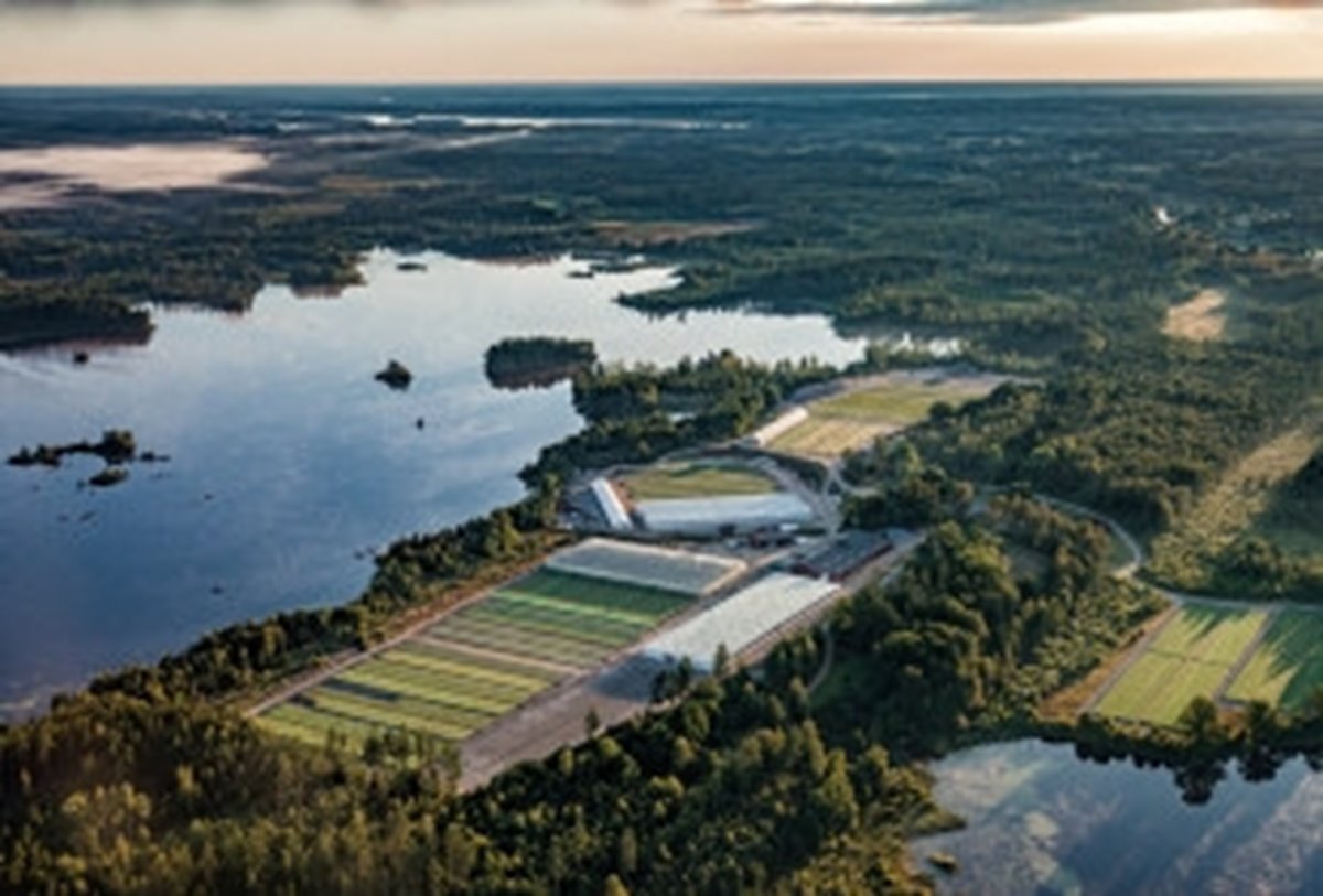 Flygare bild på en av Södras plantskola