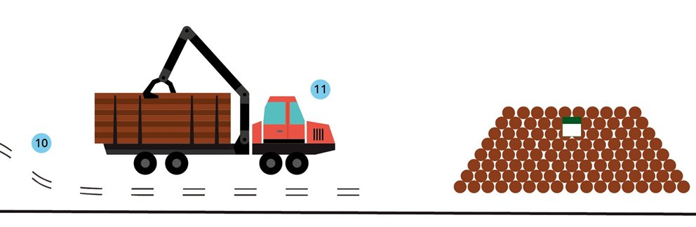 Illustration av hur gallring går till.