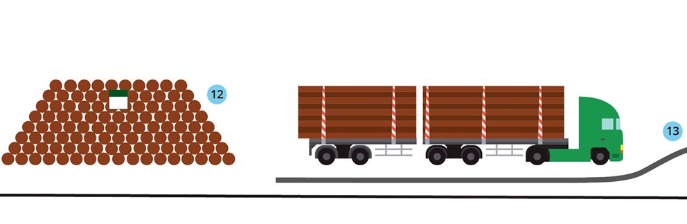 Illustration av hur gallring går till.