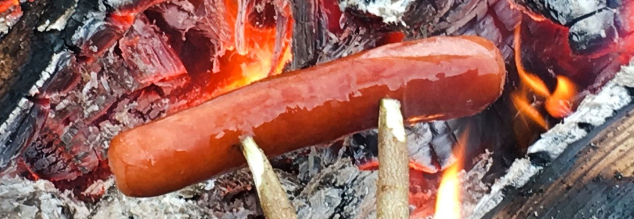 Äta korv och korvgrillning, skogsdag, mat