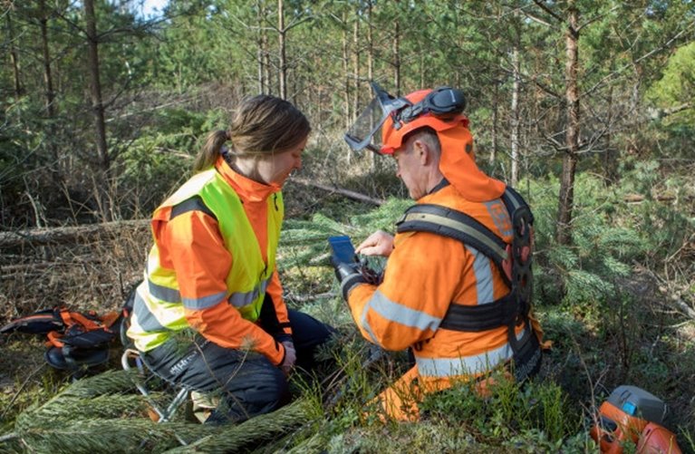 Röjning av skog av Södra-medlemmen Karl-Eric Johansson och dottern Ellen Johansson.