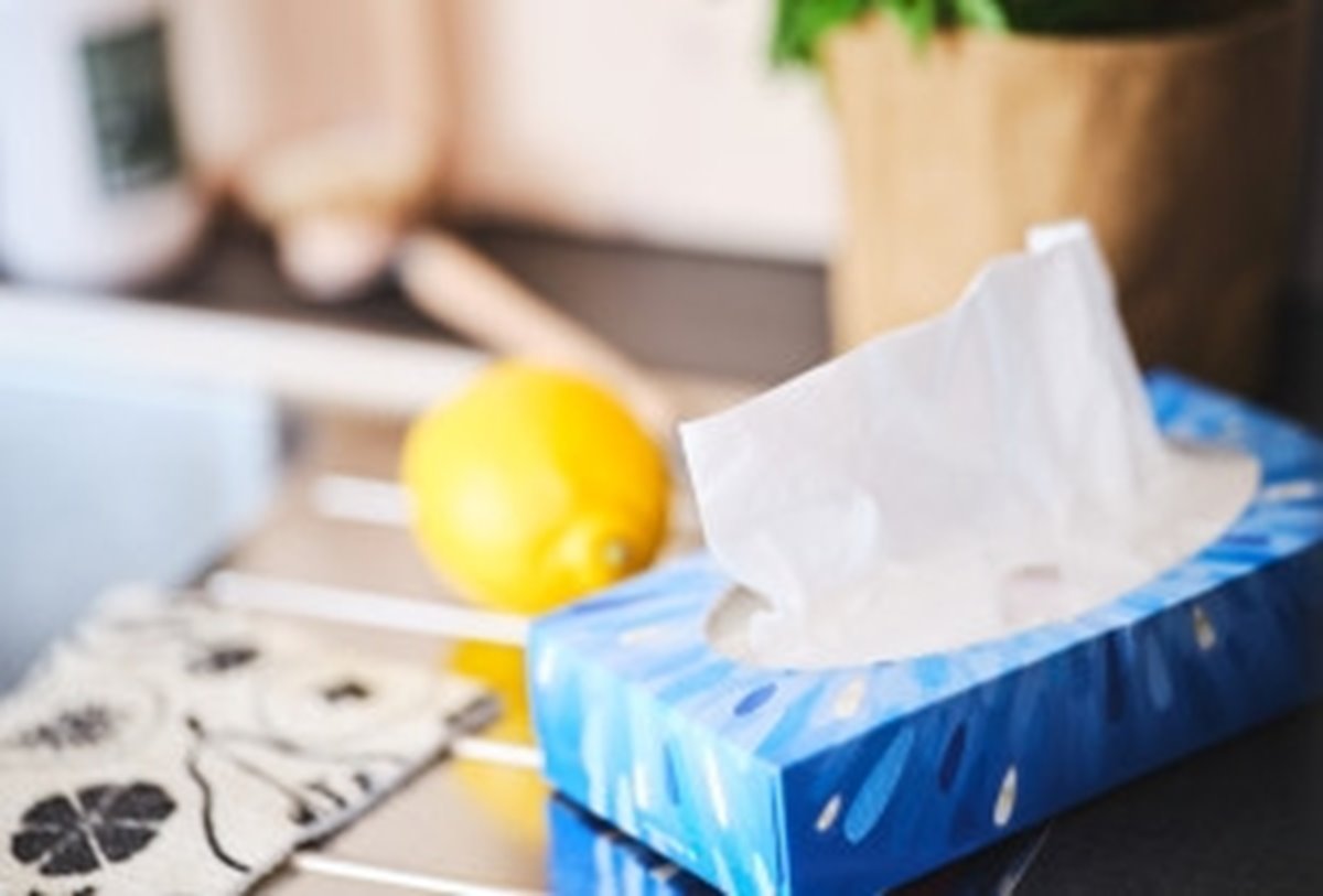 Servette och citron på diskho