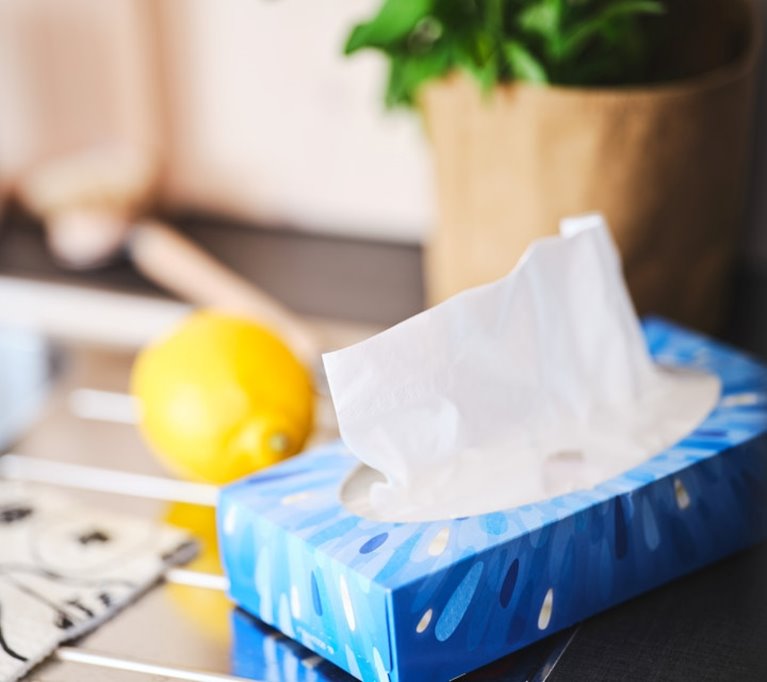 KL-trä Båstad Villa