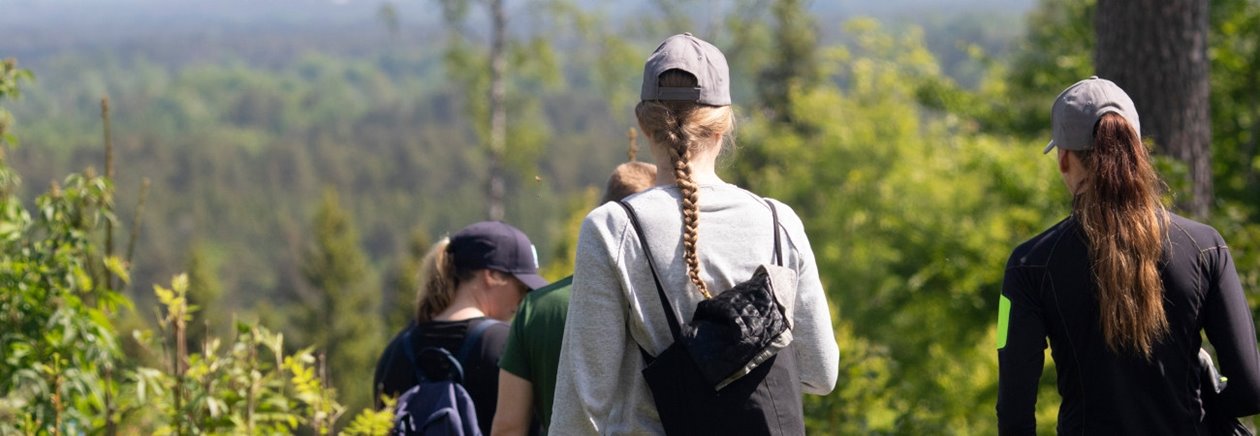 Skogsägare i blandad sommarskog.