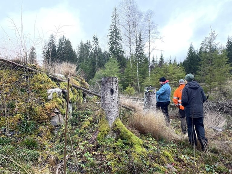 Skogens kulturarv. Generell hänsyn. Markberedningsförare på kurs i kulturmiljöhänsyn utanför Limmared fick lära sig att en kulturstubbe är cirka 1,3 meter hög och fungerar som en signal att här finns en kulturlämning, men också som en barriär. Kör hit men inte längre. Kulturstubbar står vanligtvis 2-5 meter utanför en lämning eller i kanten på ett villkorsområde för en fornlämning.
