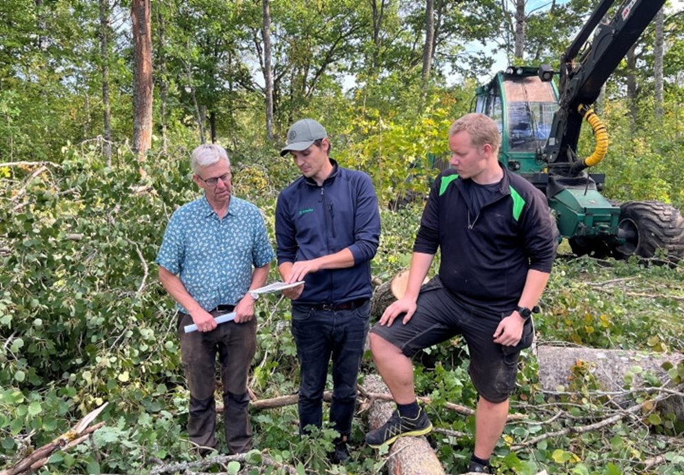 Naturvårdande skötsel. Skogsägaren Harald Säll och skogsinspektorn Johan Svensson träffas ute i en vacker lövskog en hösteftermiddag. De besöker ett av Haralds bestånd där entreprenören Marcus Gustavsson på MG Skog Jeppahem genomför en naturvårdshuggning.
Harald, Johan och Marcus går igenom broschyren Naturvårdsskötsel i NS-bestånd som är framtagen för att vara ett stöd för den som planerar och/eller utför naturvårdande skötselåtgärder. En stor andel av Södra Skogs fältpersonal och entreprenörer har genomgått NS-utbildningar under 2021-2023.