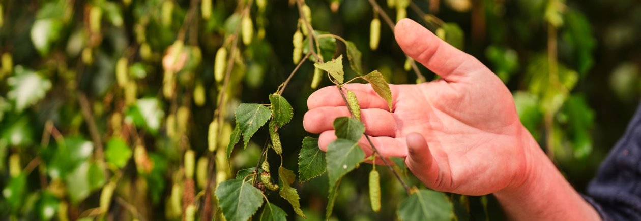 Fotografering plantskolan i Falkenberg