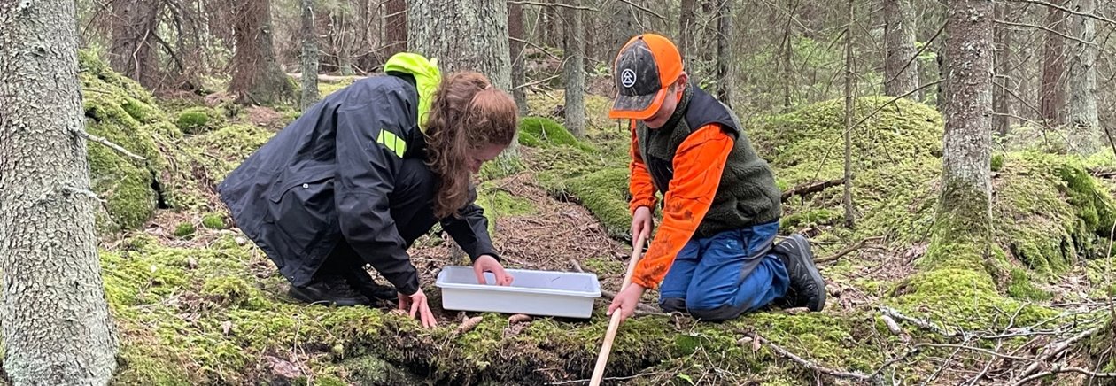 Utforskning av livet i skogsbäcken.