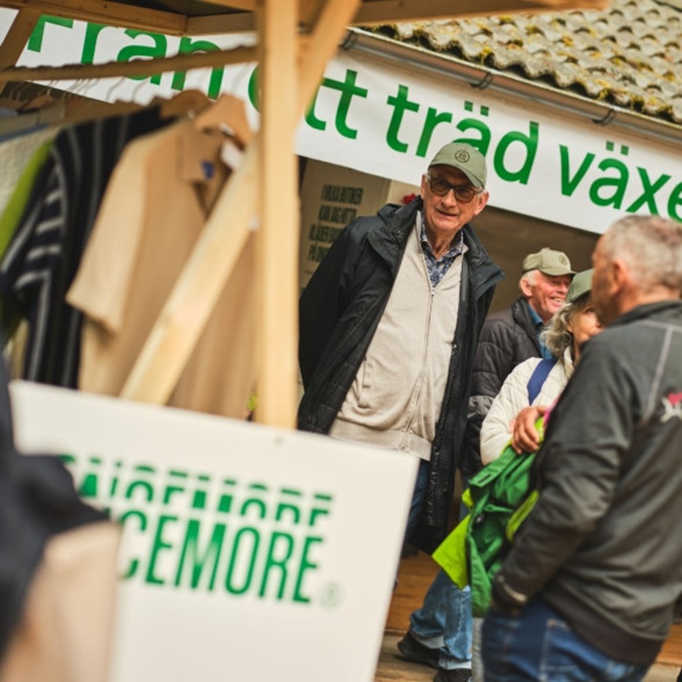 Bilder från Elmia Wood 2025